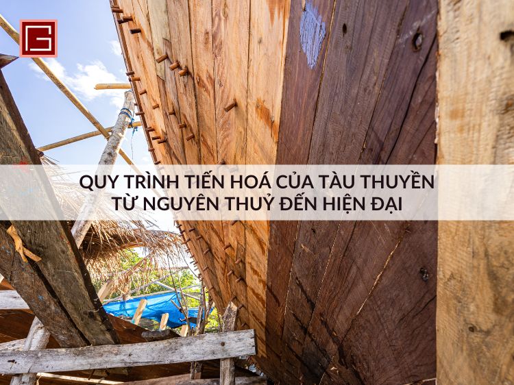 quy-trinh-tien-hoa-cua-tau-thuyen