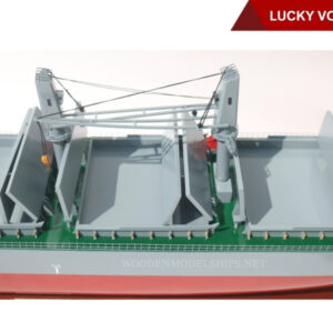 LUCKY VOYAGER-16