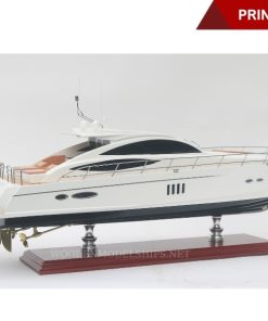 PRINCESS V70-10