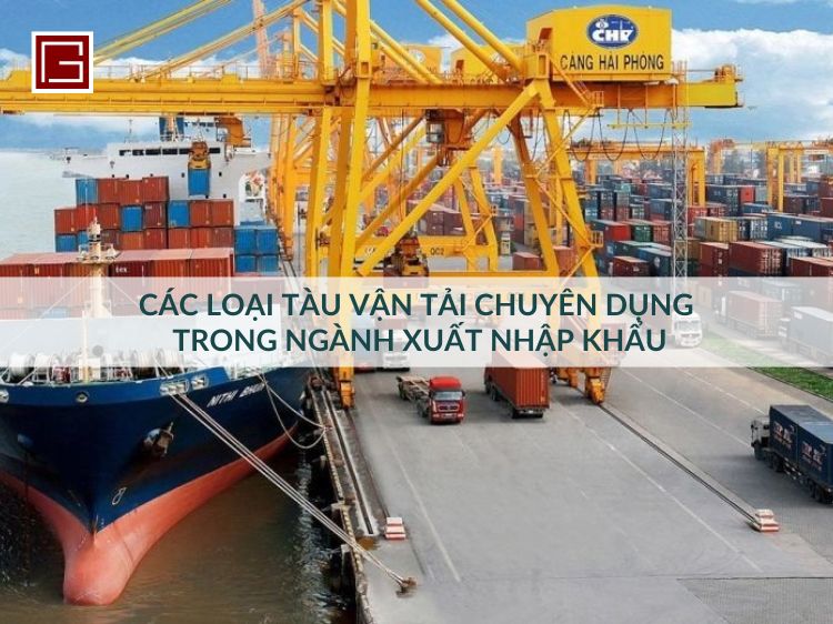 cac-loai-tau-van-tai-chuyen-dung-trong-nganh-xuat-nhap-khau-tai-viet-nam