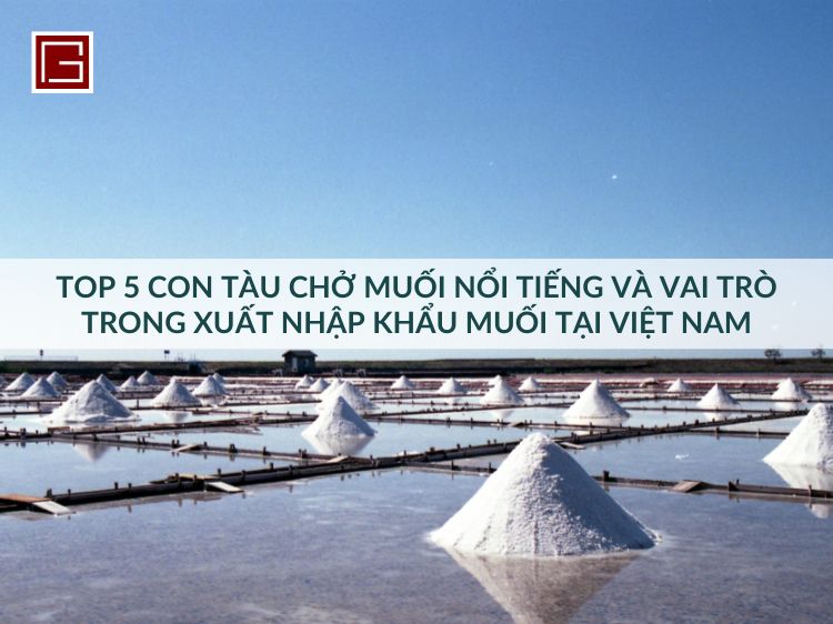 top-5-con-tau-cho-muoi-noi-tieng