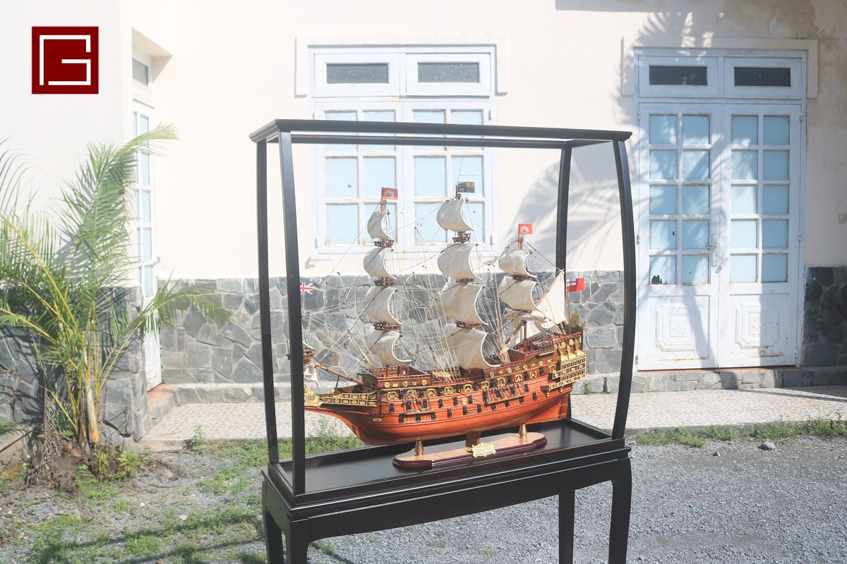 DISPLAY CASE (2)