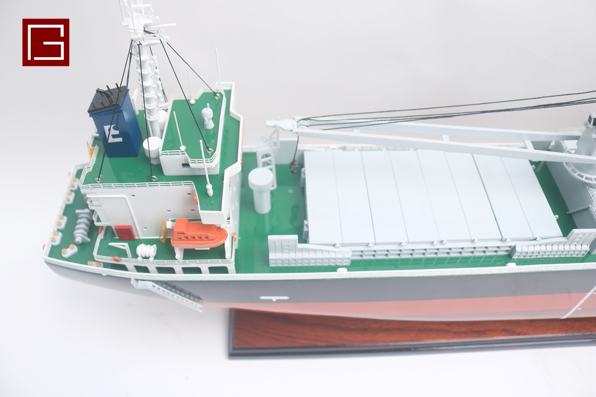 MAHO CORAL (1)