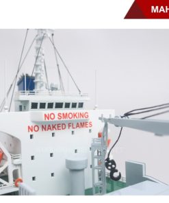 MAHO CORAL-13