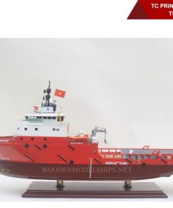 TC PRINCESS OFFSHORE TUG VESSEL-01
